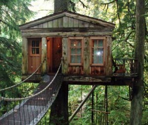 A Tree House at the Tree House Point
