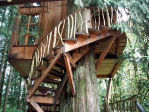 A Tree House at the Tree House Point